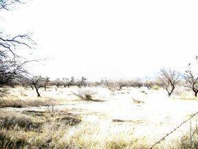 13545 S Bell Rd, Benson, AZ 85602 photo 8