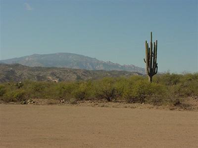 5851 N Cascabel Rd, Benson, AZ 85602 photo 8