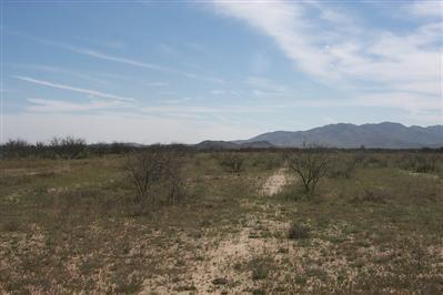 3758 N Joe Hines Rd, Willcox, AZ 85643 photo 2