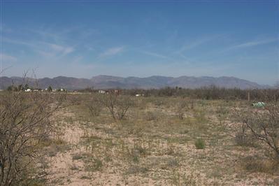 3758 N Joe Hines Rd, Willcox, AZ 85643 photo 6