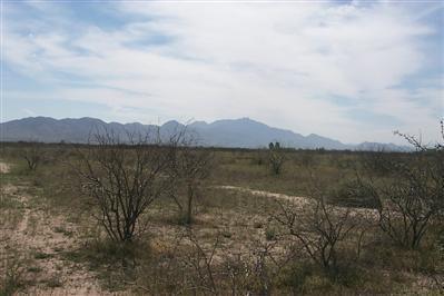 3758 N Joe Hines Rd, Willcox, AZ 85643 photo 1
