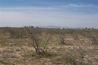 3758 N Joe Hines Rd, Willcox, AZ 85643 photo 3