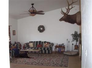 3101 E Calle Bacardi, Vail, AZ 85641 photo 4
