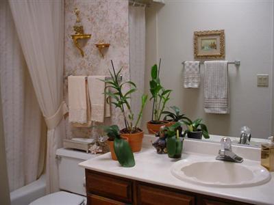 4391 N Vereda Rosada, Tucson, AZ 85750 photo 10