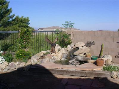 526 S Sweet Ridge Dr, Vail, AZ 85641 photo 4