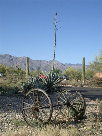 4650 E River Rd, Tucson, AZ 85718 photo 1