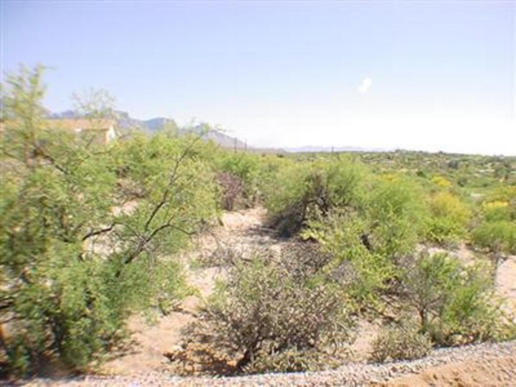 4483 E Wilds Rd, Tucson, AZ 85739 photo 7