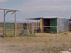 8395 S C Lee Ln, Willcox, AZ 85643 photo 9