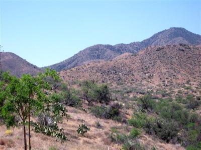 17953 S Copper Cut Trl, Vail, AZ 85641 photo 3
