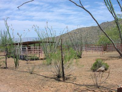11186 E Camino Aurelia, Vail, AZ 85641 photo 10