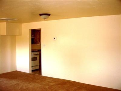 401 E Rodeo Dr, Tucson, AZ 85714 photo 3