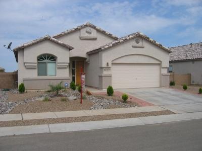 16176 S Sheffield Dr, Vail, AZ 85641 photo 1