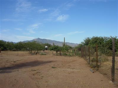 13560 E Garigans Gulch, Vail, AZ 85641 photo 4