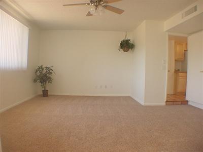 8531 E Wrightstown Rd, Tucson, AZ 85715 photo 5