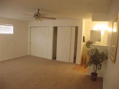 8531 E Wrightstown Rd, Tucson, AZ 85715 photo 7