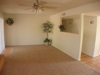 8531 E Wrightstown Rd, Tucson, AZ 85715 photo 6