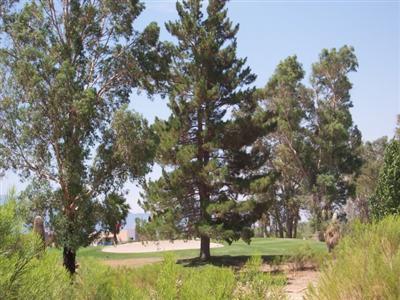 16440 S Observatory Pl, Vail, AZ 85641 photo 4