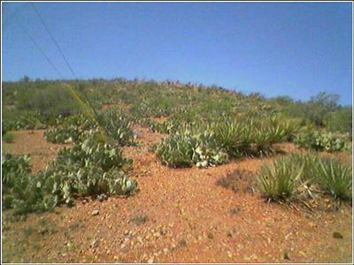 13200 E Walts Way, Tucson, AZ 85641 photo 1