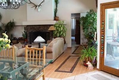 2240 E Mitchell St, Tucson, AZ 85719 photo 3