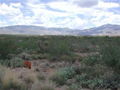 15268 E Two Bar Z Ranch Pl, Vail, AZ 85641 photo 1