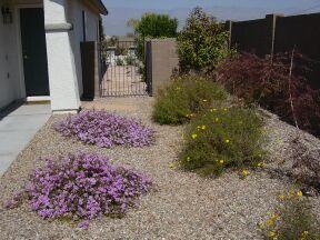 9650 E Belasco Loop, Tucson, AZ 85748 photo 2