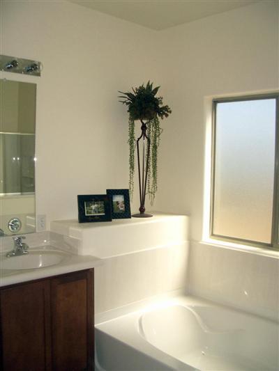 3541 E Drystone Rd, Vail, AZ 85641 photo 9