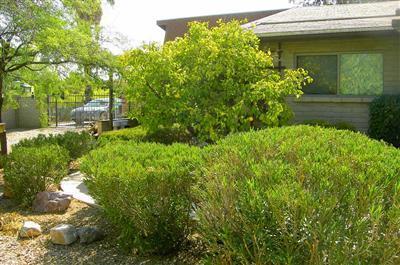 220 S Nashville Ave, Vail, AZ 85641 photo 9