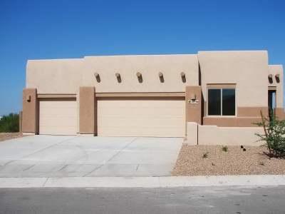 10796 S Heart Break Ridge Pl, Vail, AZ 85641 photo 1