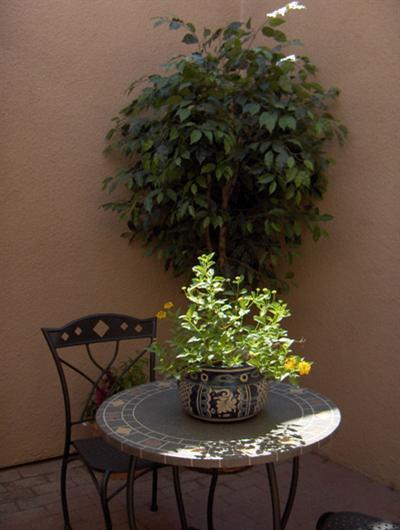 3324 E Popinac Loop, Tucson, AZ 85716 photo 5