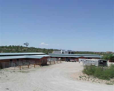 8331 S Tumbling Y Ranch Pl, Vail, AZ 85641 photo 6