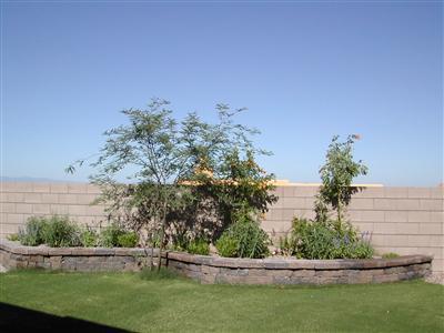 10748 S Fiery Dawn Ct, Vail, AZ 85641 photo 5