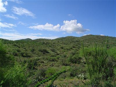 17771 S Copper Cut Pl, Vail, AZ 85641 photo 2