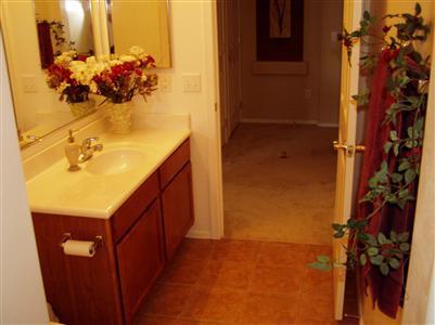 12747 E Red Iron, Vail, AZ 85641 photo 7