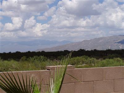 12747 E Red Iron, Vail, AZ 85641 photo 4