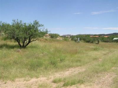 5346 Edwin Rd, Tucson, AZ 85739 photo 3