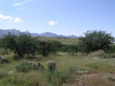 5346 Edwin Rd, Tucson, AZ 85739 photo 9