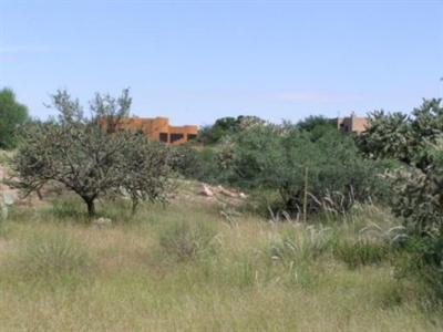 5346 Edwin Rd, Tucson, AZ 85739 photo 6