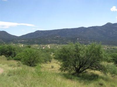 5346 Edwin Rd, Tucson, AZ 85739 photo 8