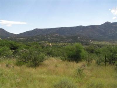 5346 Edwin Rd, Tucson, AZ 85739 photo 7