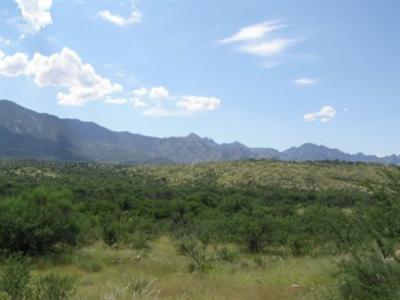 5346 Edwin Rd, Tucson, AZ 85739 photo 10