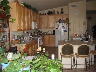 3933 W Valley Mine Dr, Tucson, AZ 85745 photo 2