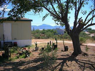 3550 E Stallion Ln, Tucson, AZ 85739 photo 3