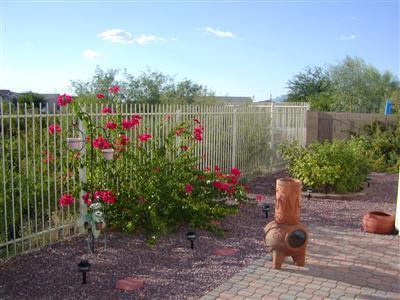 9830 E Wind Dancer Dr, Tucson, AZ 85748 photo 6