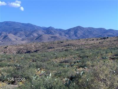 0, Elfrida, AZ photo 3