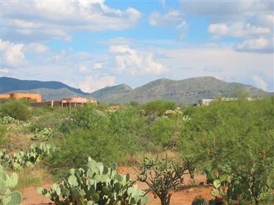 8714 S Triangle L Ranch Pl, Vail, AZ 85641 photo 10