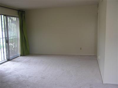 5216 N Tigua Dr, Tucson, AZ 85704 photo 4