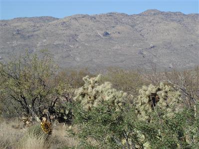 14742 E Circle M Ranch Pl, Vail, AZ 85641 photo 1