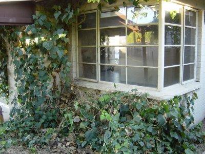 5613 E 3rd St, Tucson, AZ 85711 photo 7