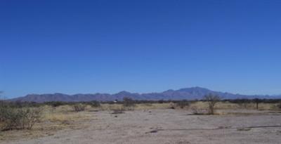 426 S Taylor Rd, Willcox, AZ 85643 photo 8