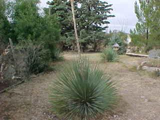 65 Mohave Dr, Bisbee, AZ 85603 photo 8